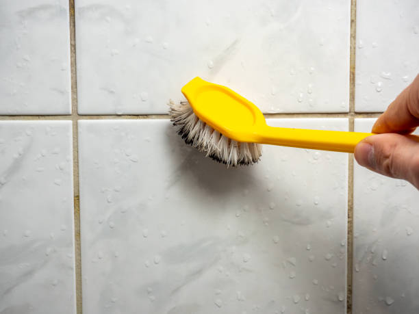 Best Attic Mold Removal  in Mableton, GA