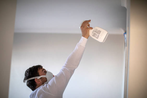 Best Emergency Mold Removal  in Mableton, GA