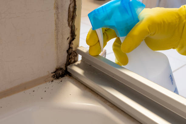 Best Toxic Mold Removal  in Mableton, GA