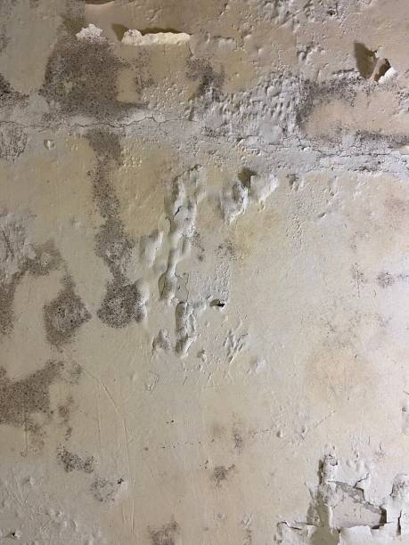Best Crawl Space Mold Removal  in Mableton, GA